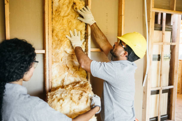 Best Residential Insulation Services  in Pevely, MO