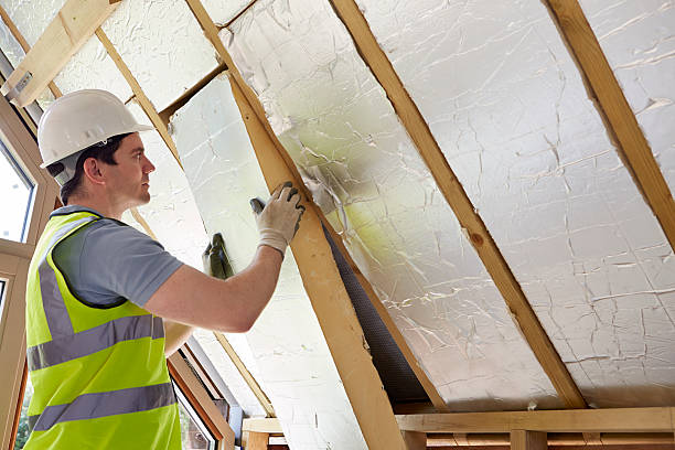 Best Insulation Inspection Services  in Pevely, MO